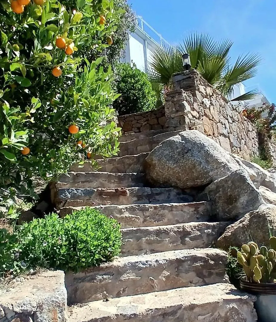 Coup De Coeur Villa Roses Spain