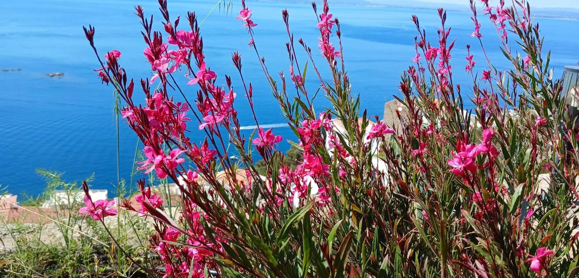 Holiday home Coup De Coeur Villa Roses